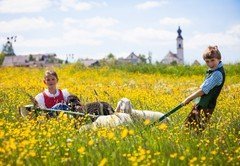 _MG_8691_Bildgröße ändern