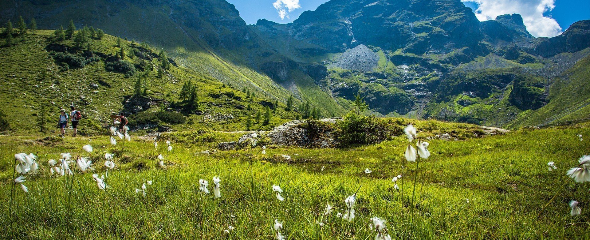 Landhotel Kolb - entdecken Sie